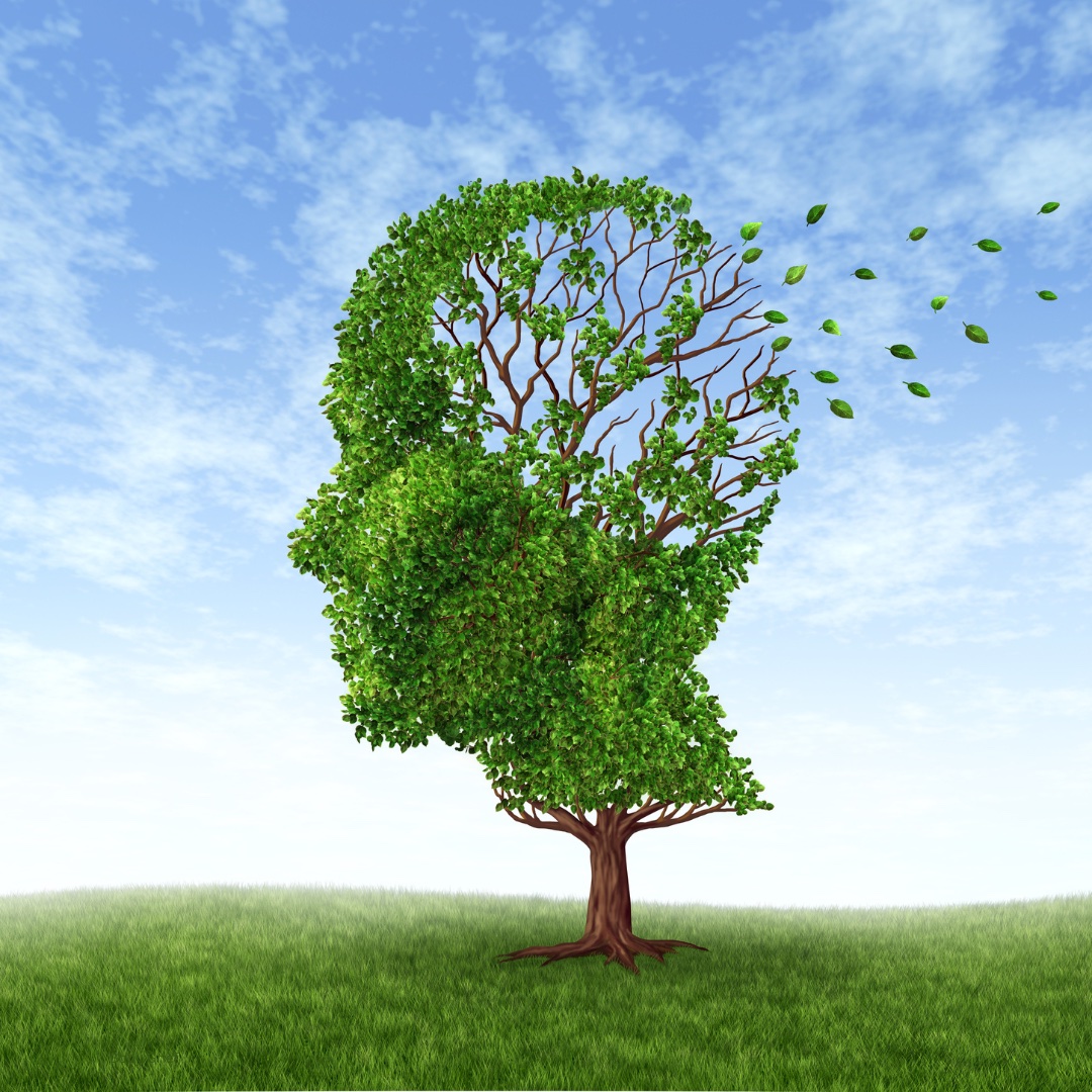 Anxiety and Trauma therapy